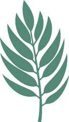 abstract tropical green leaf from palm tree