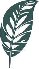 abstract tropical green leaf from palm tree