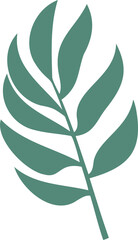 abstract tropical green leaf from palm tree