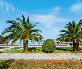 A beautiful summer park morning view with palm tree near Milocer Beach (Montenegro, Budva)