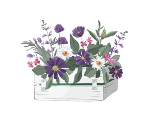 Vector flowers and herbs in a garden wooden white box.