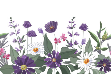 Vector floral seamless pattern, border. Chamomile, gaillardia, sage, rosemary, quinoa