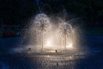 Dandelion fountain at night. Water splashing