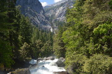 Trees mountains and river in summer in Yosemite National Park