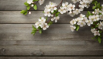Cherry blossom branch at top edge on wood background