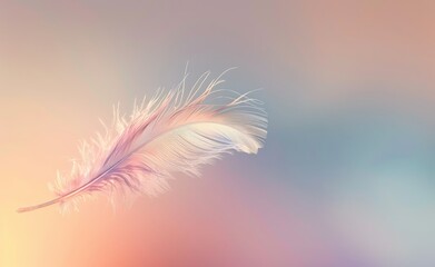   A tight shot of a white feather against a softly blurred backdrop, featuring a pink and blue sky above