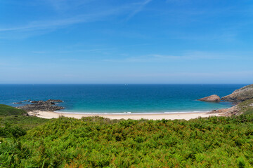 Au premier plan, des fougères vertes encadrent la vue sur la plage de sable de la Fosse, dans les Côtes d'Armor, sous un ciel d'un bleu profond.