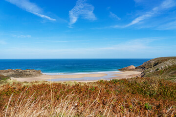 Au premier plan, des herbes jaunies et des fougères revêtant leurs couleurs automnales encadrent la plage  de la Fosse, dans les Côtes d'Armor,sous un ciel bleu immaculé.