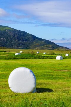 Bale of hay wrapped in plastic foil, Norway