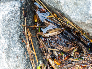 Water between the stones