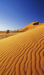   A sand dune in a desert's expanse, against a clear blue sky, features a tiny grass patch in the foreground