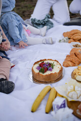 Cake on summer picnic with strawberry and lilac