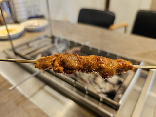 close up of skewers with grilled meat