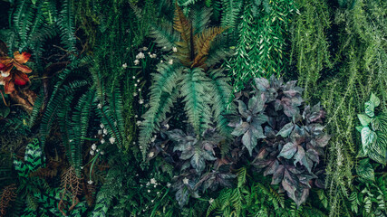 Close-up of a group of green leaves, providing a textured and abstract nature background. Rich foliage textures, exotic greenery, and botanical patterns.
