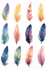 Feathers  Colorful feathers against a clear blue sky  watercolor clipart