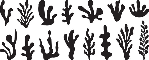 Seaweed silhouettes, coral black icon. Abstract organic shape, underwater plant, matisse element, cute sea doodle. Cartoon marine floral set. Simple vector illustration isolated on white background