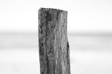Old wood pole
