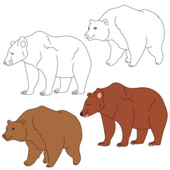 Bear Clipart. Wild Animals clipart collection for lovers of jungles and wildlife. This set will be a perfect addition to your safari and zoo-themed projects.