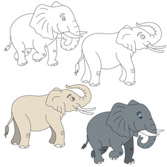 Elephant Clipart. Wild Animals clipart collection for lovers of jungles and wildlife. This set will be a perfect addition to your safari and zoo-themed projects.
