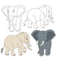 Elephant Clipart. Wild Animals clipart collection for lovers of jungles and wildlife. This set will be a perfect addition to your safari and zoo-themed projects.