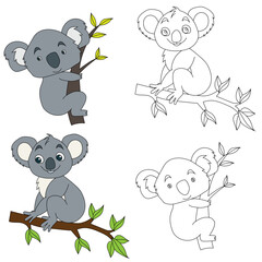 Koala Clipart. Wild Animals clipart collection for lovers of jungles and wildlife. This set will be a perfect addition to your safari and zoo-themed projects.