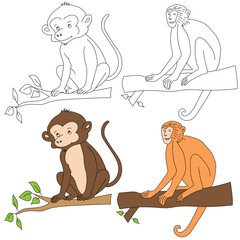 Monkey Clipart. Wild Animals clipart collection for lovers of jungles and wildlife. This set will be a perfect addition to your safari and zoo-themed projects.