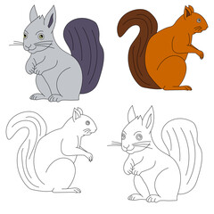 Squirrel Clipart. Wild Animals clipart collection for lovers of jungles and wildlife. This set will be a perfect addition to your safari and zoo-themed projects.