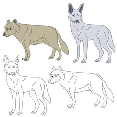 Wolf Clipart. Wild Animals clipart collection for lovWild Animals clipart collection for lovers of jungles and wildlife. This set will be a perfect addition to your safari and zoo-themed projects.