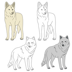 Wolf Clipart. Wild Animals clipart collection for lovWild Animals clipart collection for lovers of jungles and wildlife. This set will be a perfect addition to your safari and zoo-themed projects.