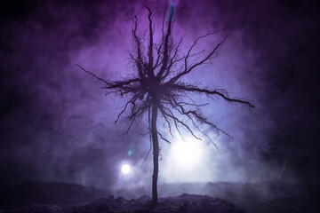 Silhouette of scary Halloween tree with horror face on dark foggy toned background with moon on...