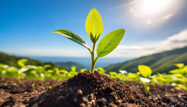 An image depicting the growth of a plant from a tiny seed, symbolizing the idea of nurturing innovative concepts and watching them flourish into successful businesses.