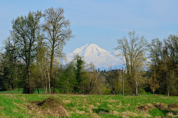 Mount Baker seen from Canada