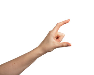 Female hand gesture isolated on white background. Showing invisible object, palm open. Concept,...