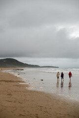 oastal Stroll: Three Figures on Sandy Shoreline