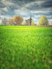 view to old wooden mill under dramatic clouds from field of green wheat in spring day