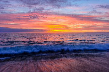 Fototapeta na wymiar Sunset Birds Flying Beautiful Ocean Beach Seascape Nature Scenic Sunrise