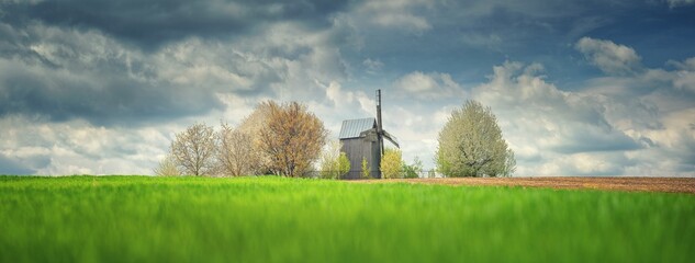 panoramic landscape with field of green wheat and old wooden mill under rainy clouds in spring day