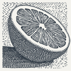 Half of citrus leaf on dotted background. Vintage engraving style vector illustration.