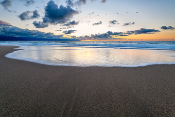Sunset Birds Flying Beautiful Ocean Beach Seascape Nature Scenic Sunrise