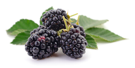 Closeup shot of fresh blackberries.