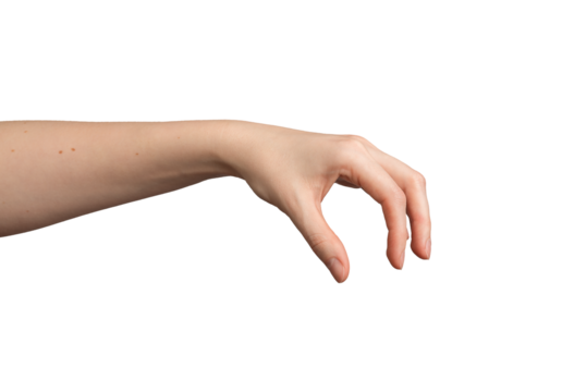 Female hand gestures isolated on white background. Arm showing signs with open palm, fingers, thumb,