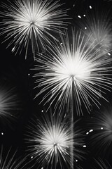 A black and white photo of fireworks with a white and black color scheme