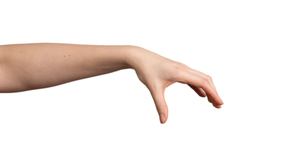 Hand gestures, white background. Woman showing signs with fingers, palm. Open, empty hand hold, take