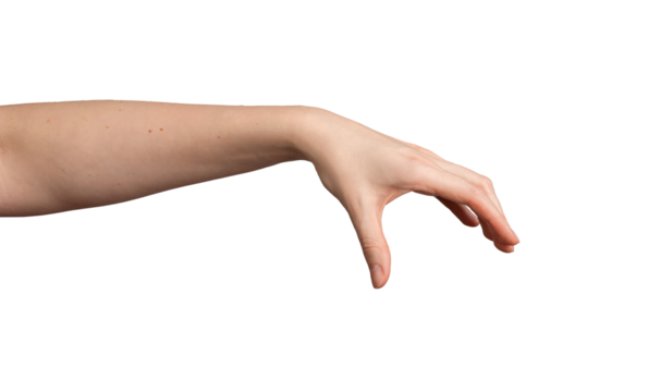 Hand gestures, white background. Woman showing signs with fingers, palm. Open, empty hand hold, take