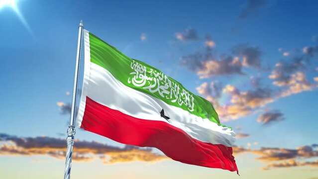 Somaliland flag Waving