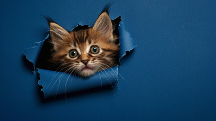 Peek-a-Boo Kitty: Playful Cat in Paper Hole. Generative AI