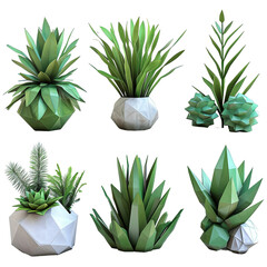 Attractive and Beautiful Poly Plant Collection isolated on white background 