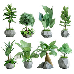 Attractive and Beautiful Poly Plant Collection isolated on white background 