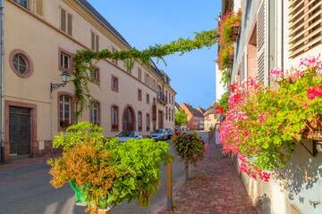 A picturesque street with flowers and plants in the charming small town of Ammerschwihr, France, one of the wine producing stops along the Alsatian wine route.