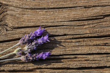 Lavanda y madera